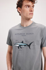 Milano Camiseta Estampada Gris Oscuro