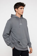Springfield Sudadera capucha básica lavada gris