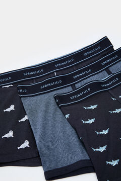 Springfield Pack 3 bóxers animales marinos azul