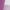 morado/lila