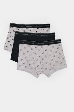 Springfield Pack 3 bóxers perros gris
