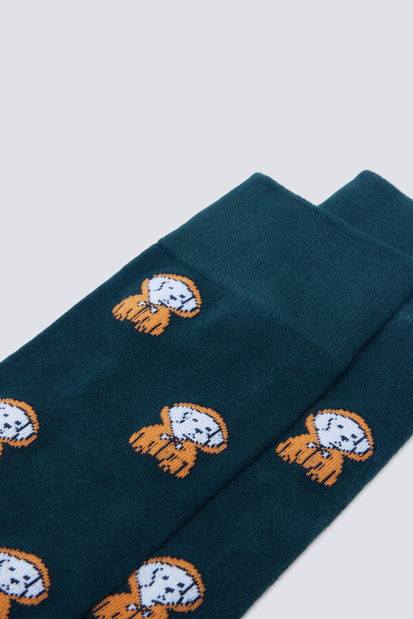 Springfield Calcetín de algodón para perro con impermeable verde