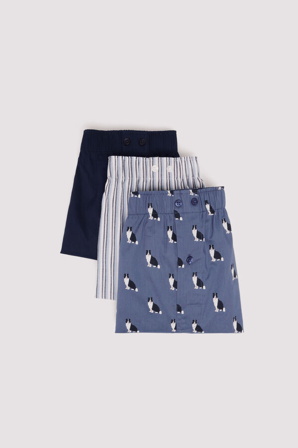 Springfield Pack de 3 calzones popelín estampados azul
