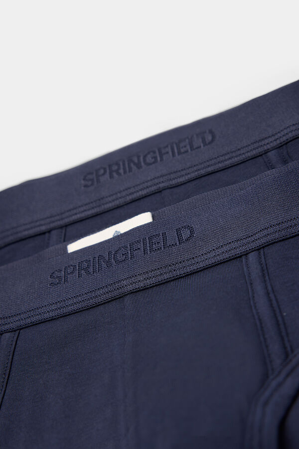 Springfield Packs 2 slips básicos azul