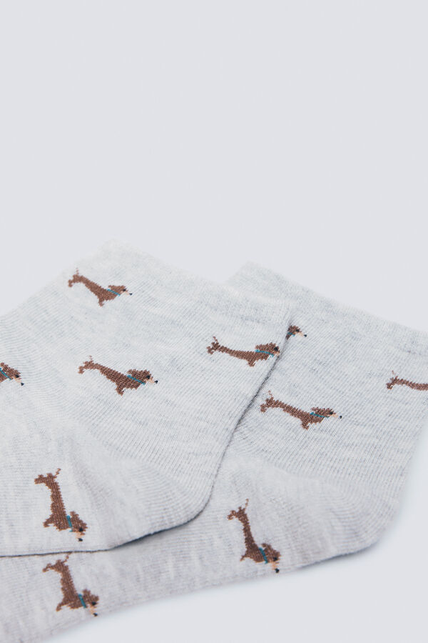 Springfield Calcet&iacute;n short para perros gris