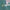 turquesa