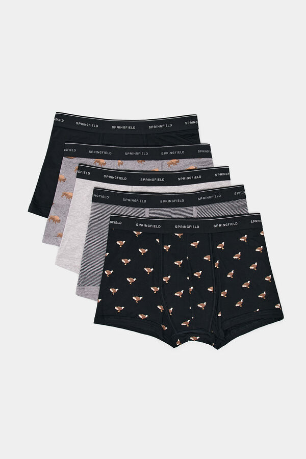 Springfield Pack 5 bóxeres estampados grises gris