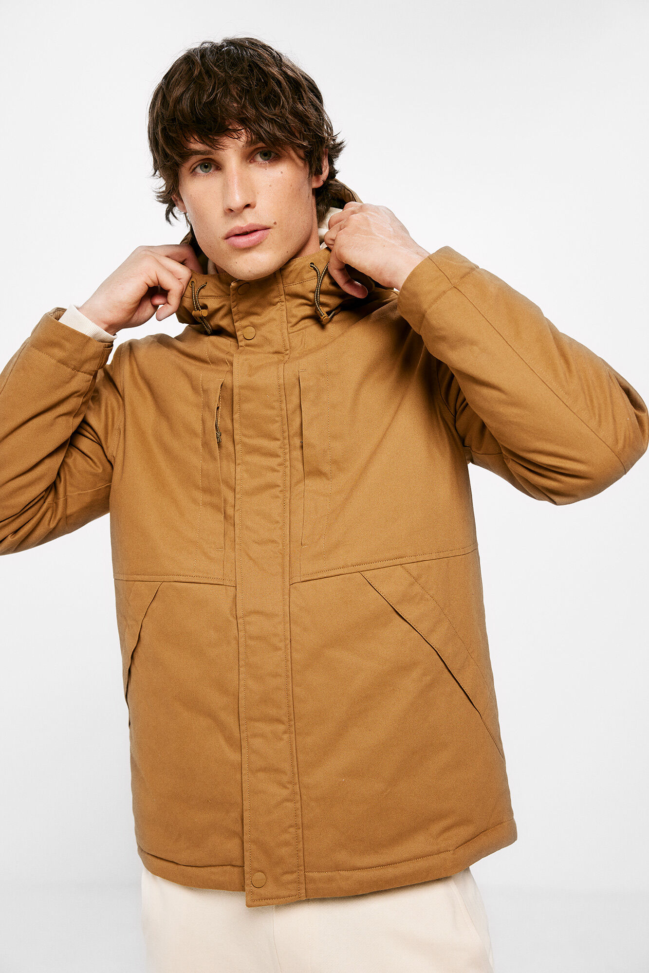 Chamarras springfield sales hombre