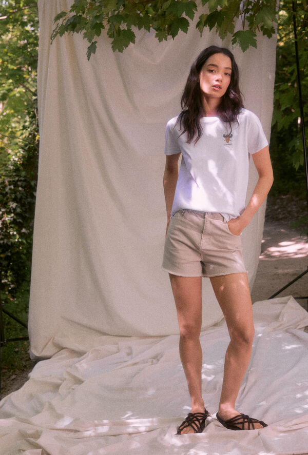Springfield Playera Gráfica Espalda "Roots Studio" natural