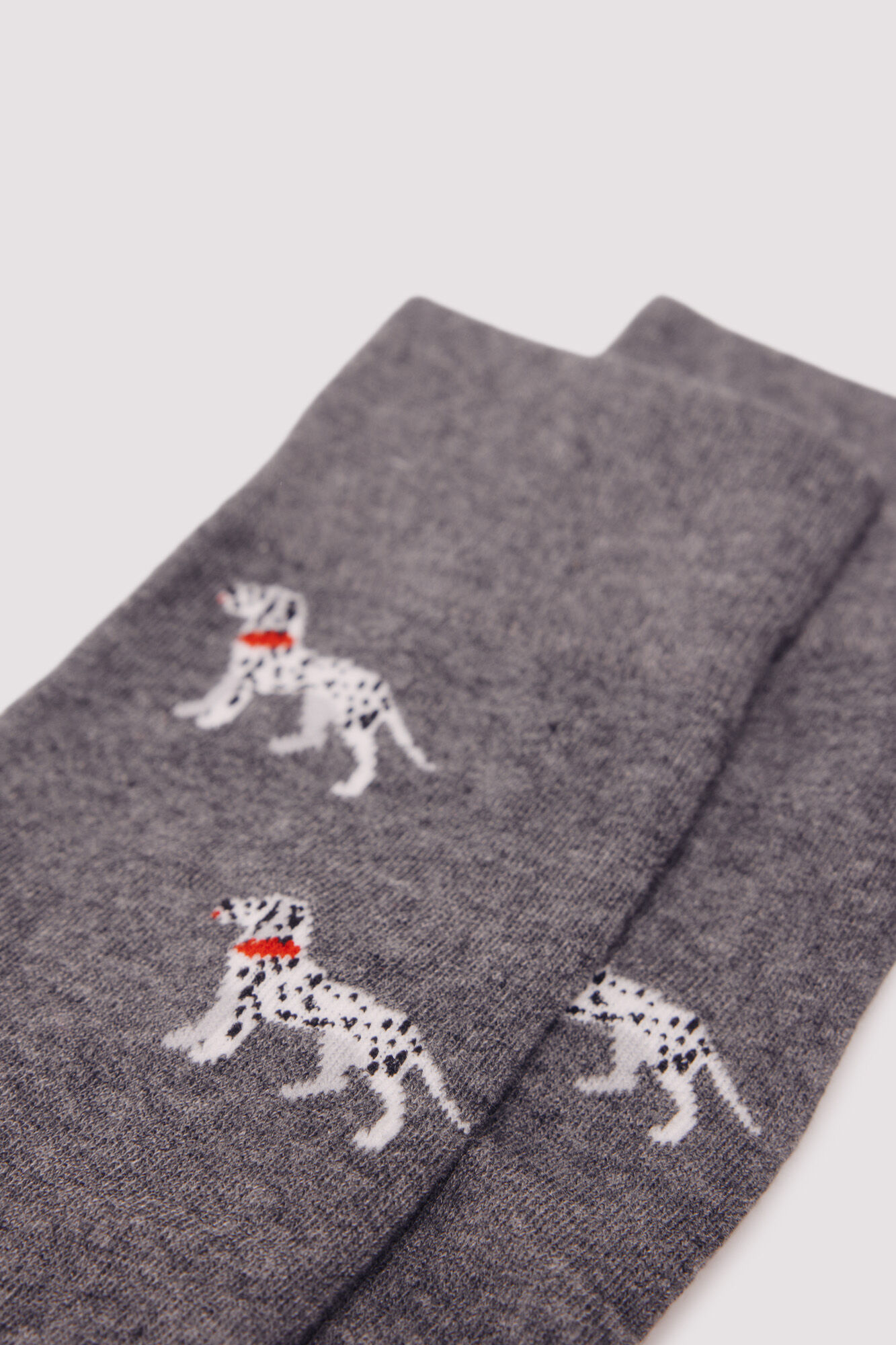 Springfield Calcet&iacute;n algod&oacute;n d&aacute;lmata