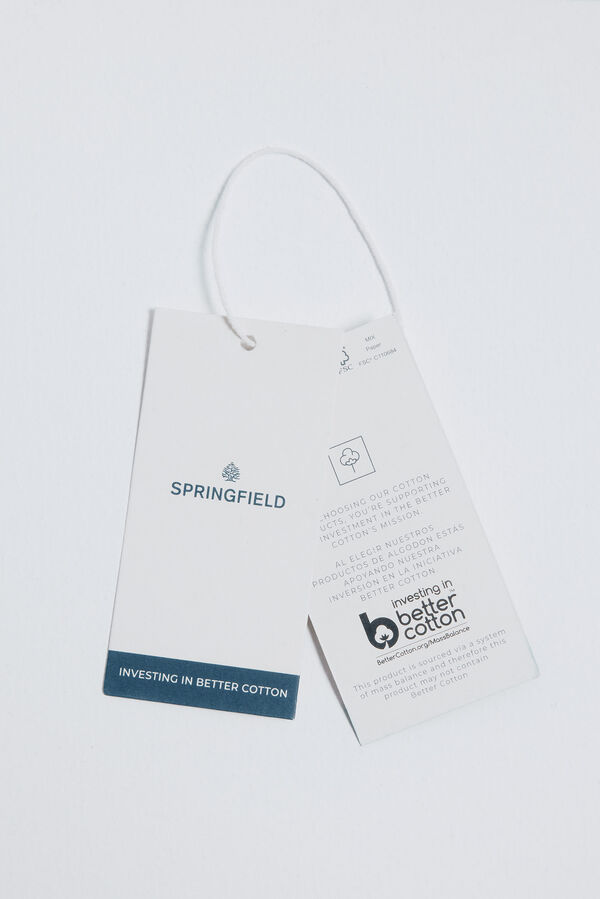 Springfield Playera gráfica americana nude