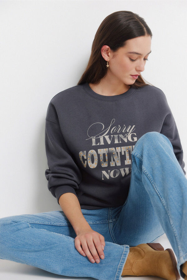 Springfield Sudadera "Country" gris