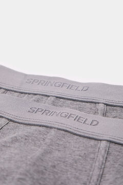 Springfield Pack 2 slips básicos gris