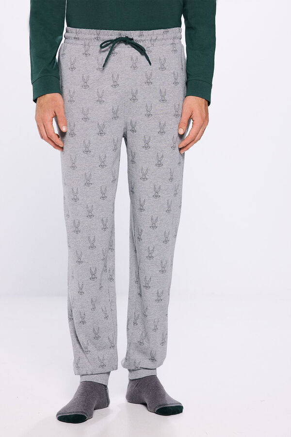 Springfield Pijama largo Looney Tunes verde