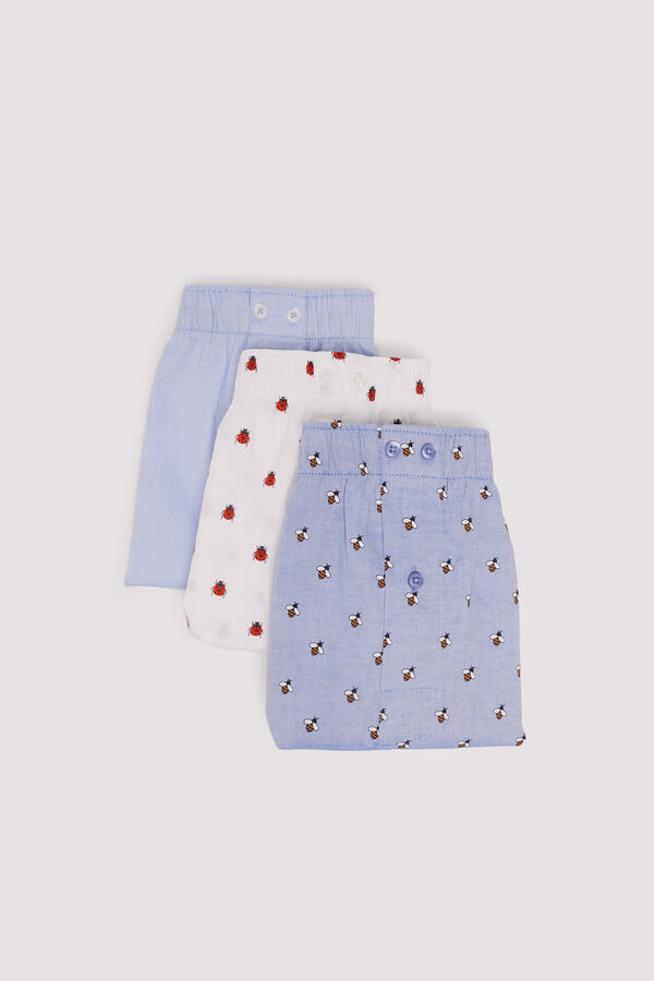 Springfield Pack de 3 calzones popelín estampados azul