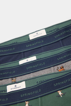 Springfield Pack 3 bóxers animales en skate verde