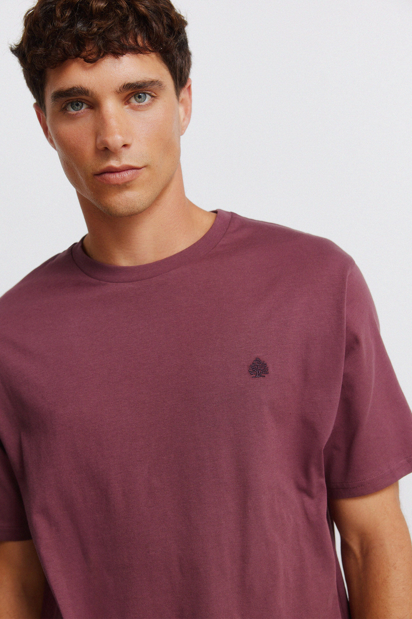 Springfield Playera b&aacute;sica logo Springfield