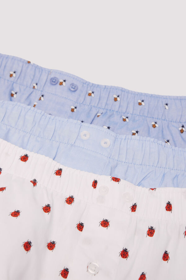 Springfield Pack de 3 calzones popelín estampados azul
