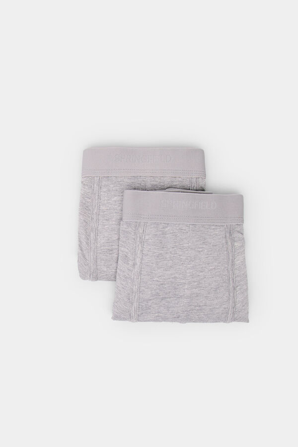 Springfield Pack 2 bóxeres básicos gris