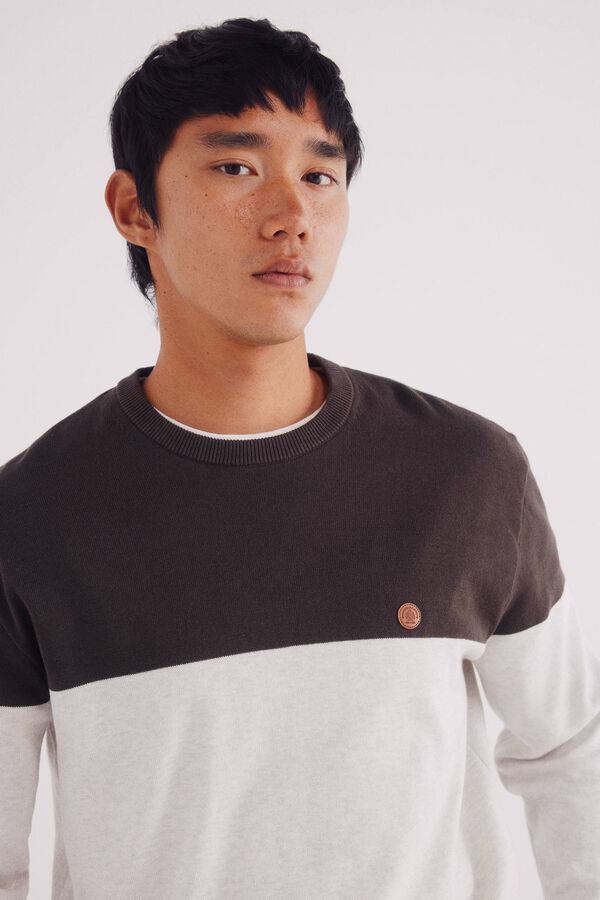 Springfield Jersey b&aacute;sico con bloques de color caf&eacute;