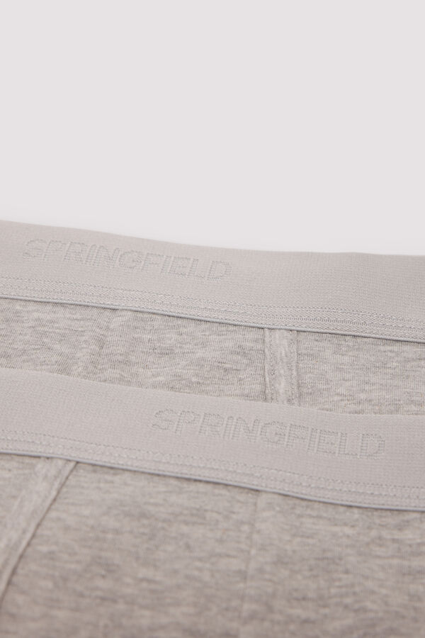 Springfield Pack 2 slips básicos gris