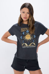 Springfield Playera "Mistic soul" gris