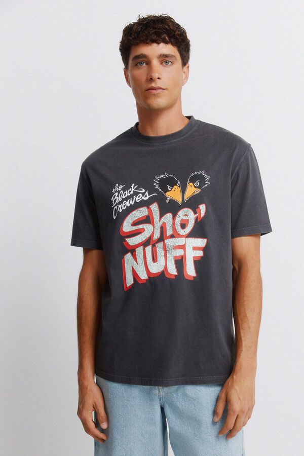 Springfield Playera Black Crowes Sho Nuff gris