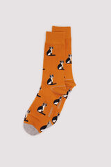 Springfield Calcetín de algodón de gato naranja
