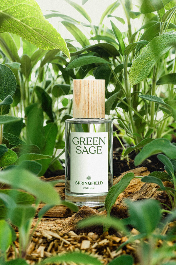 Springfield GREEN SAGE 50 ML turquesa