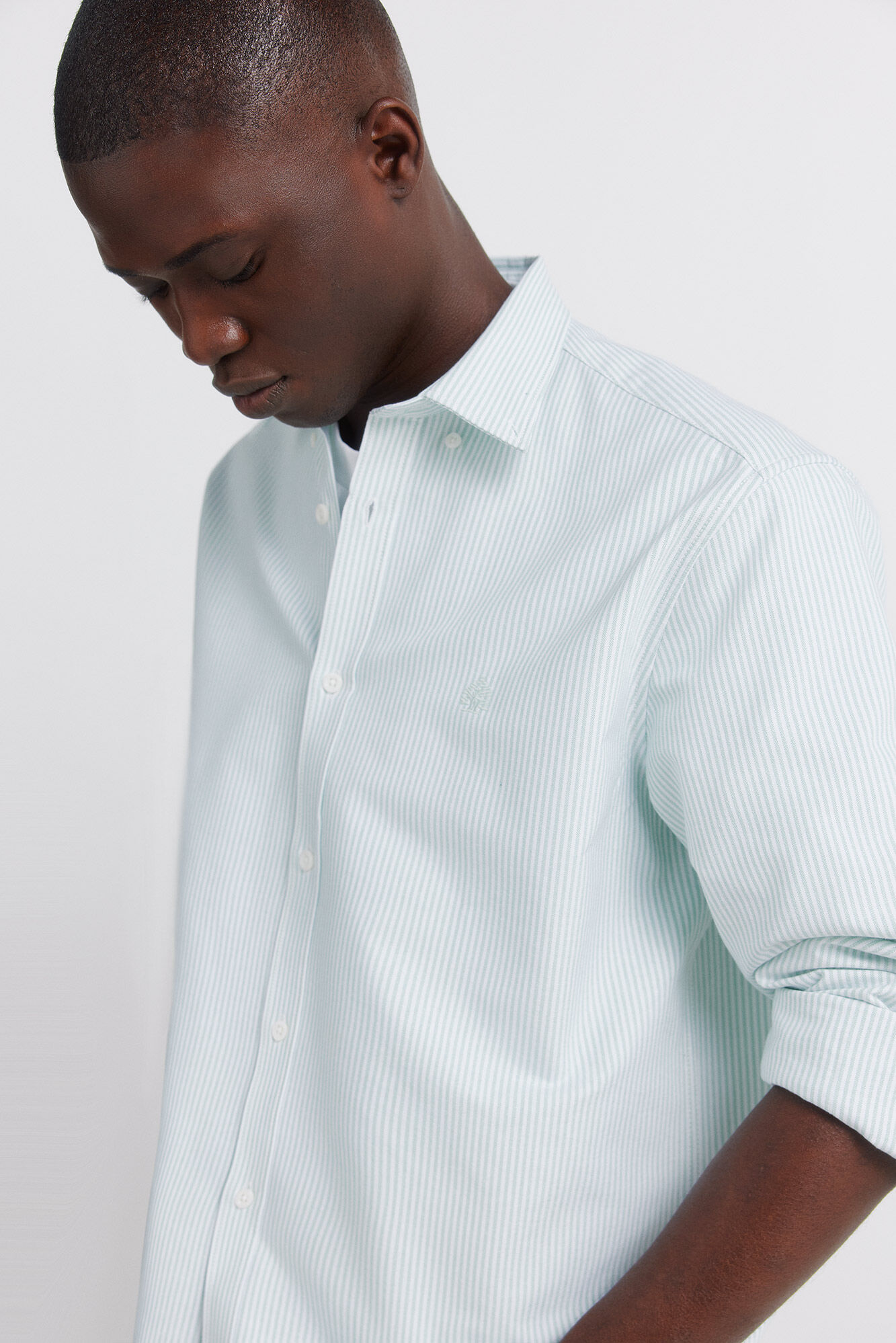 Springfield Camisa oxford a rayas sin arrugas