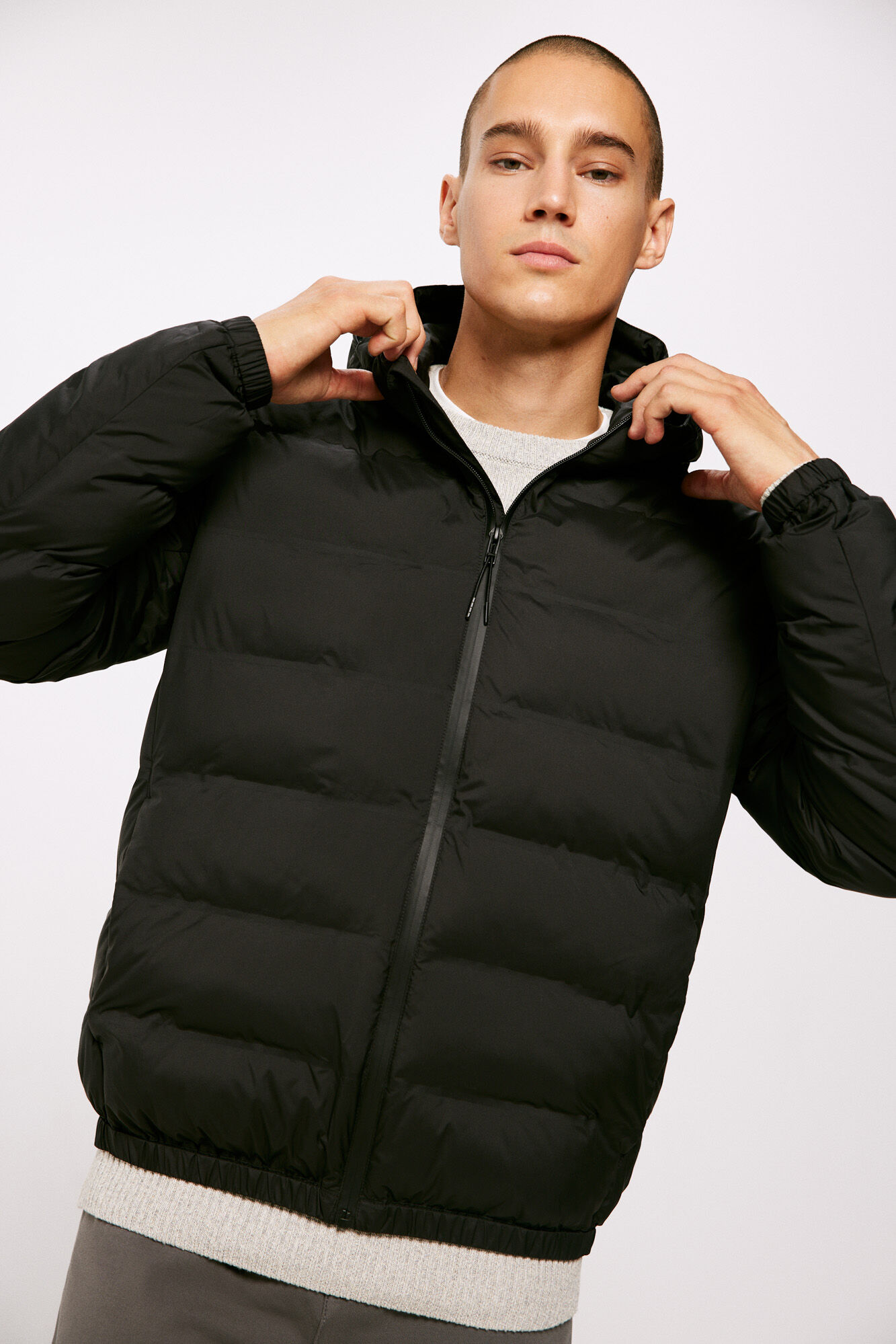 Chamarras springfield hombre clearance
