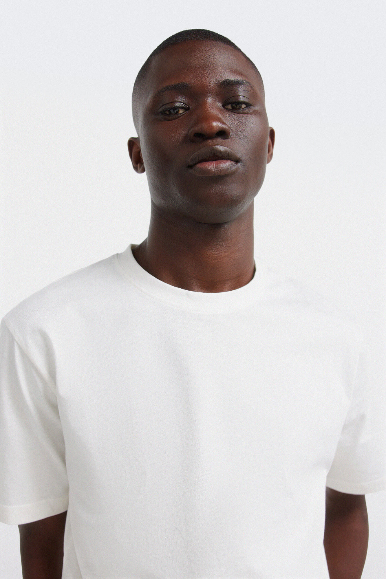Springfield Playera b&aacute;sica