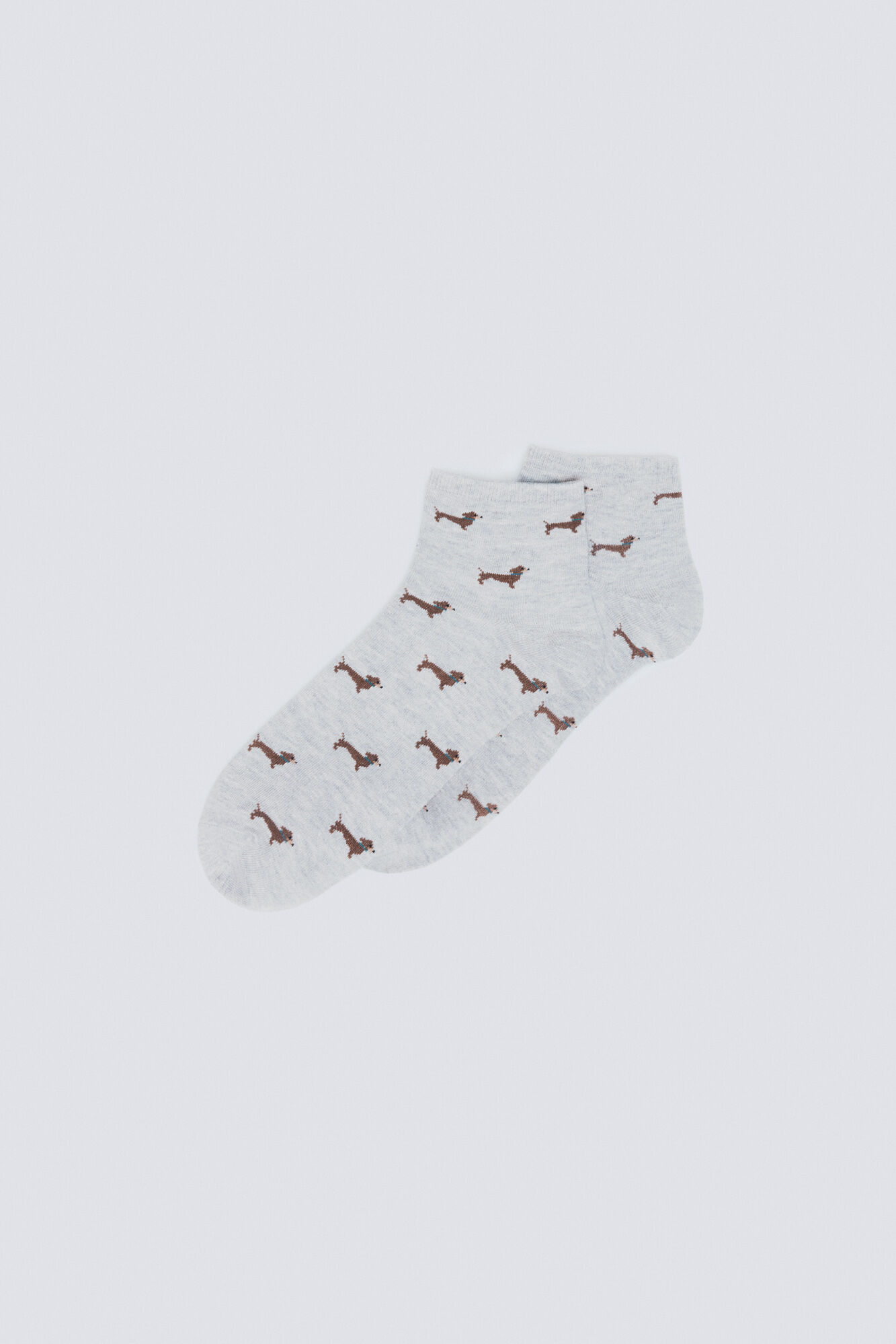 Springfield Calcet&iacute;n short para perros