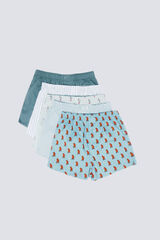 Springfield Pack de 5 calzones popelín estampados azul