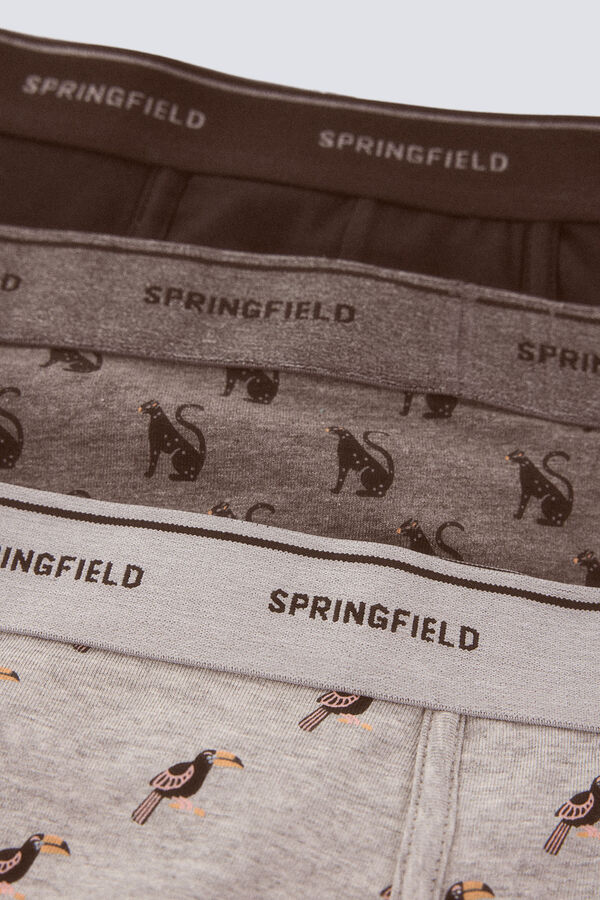 Springfield Pack 3 boxers selva gris