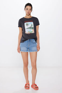 Springfield Playera Gráfica Paisaje gris