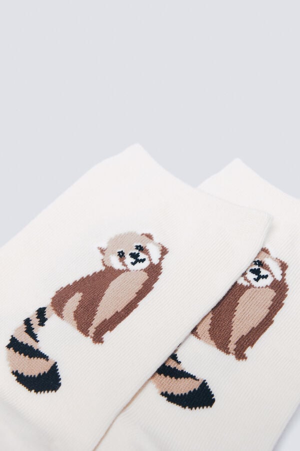 Springfield Calcetín largo mapache café