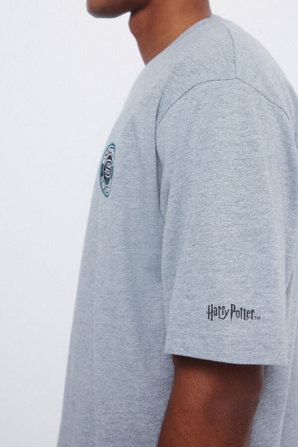 Springfield Camiseta Slytherin gris