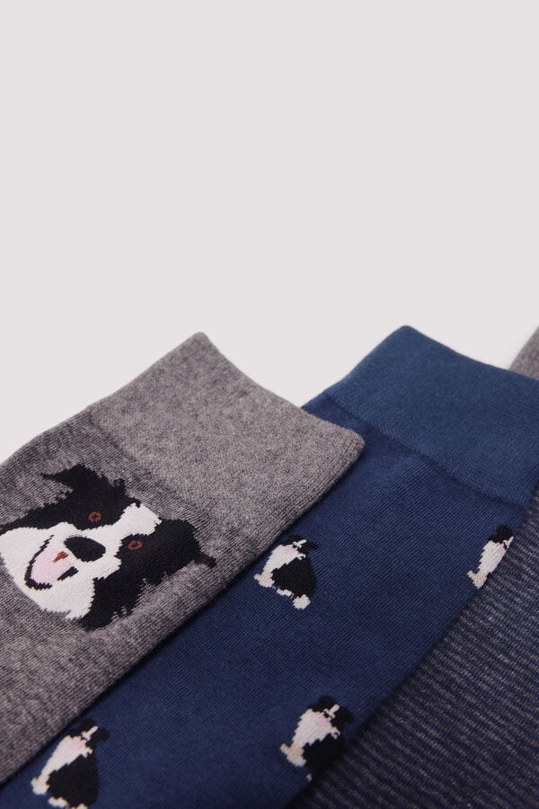 Springfield Pack 3 calcetines algodón perros azul indigo