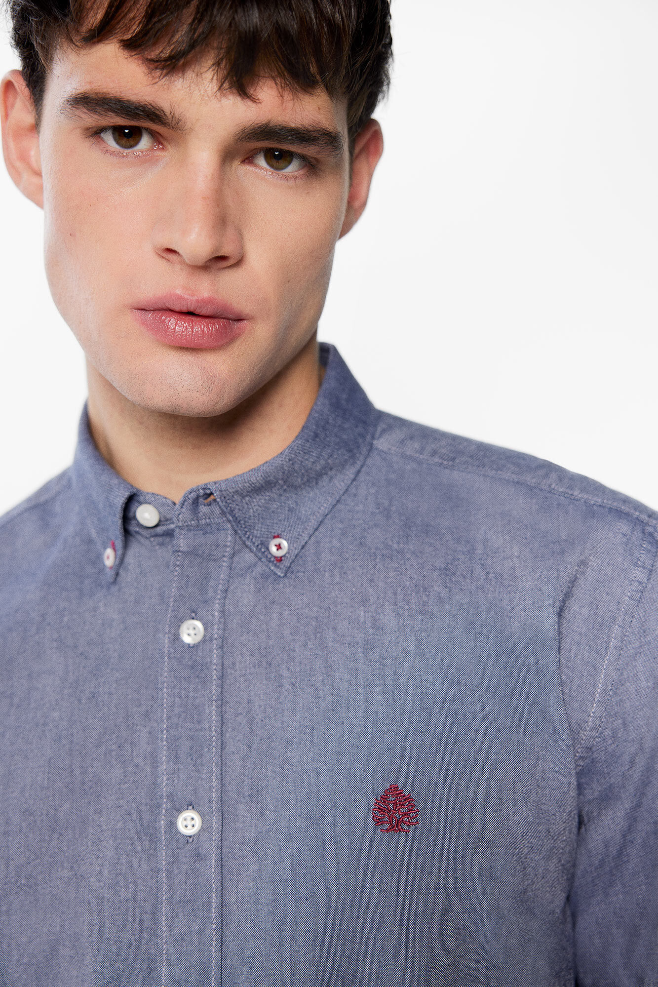 Camisa oxford Camisas de hombre WomenSecret MX