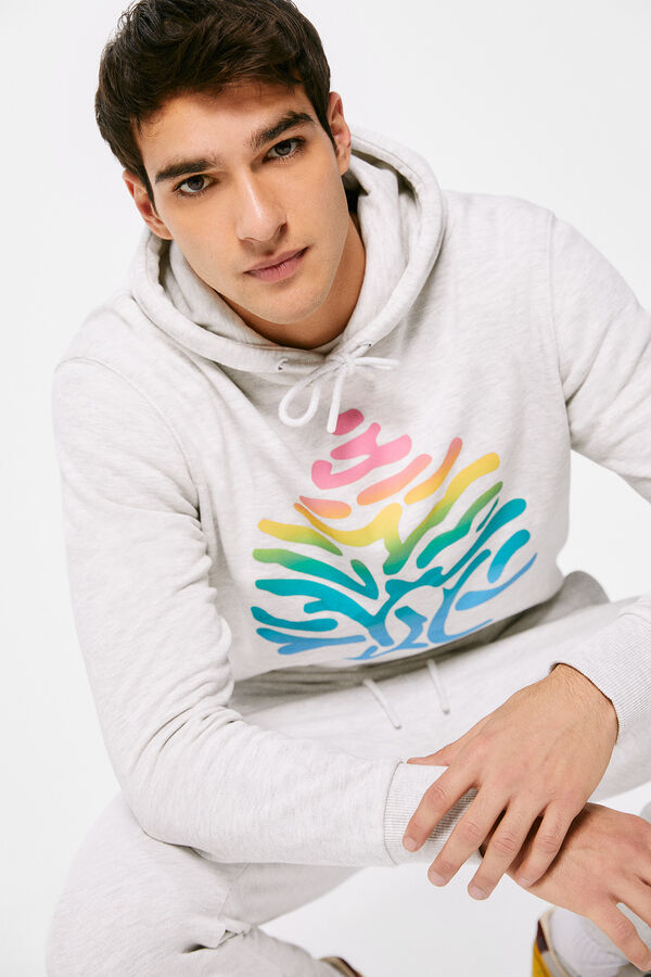 Springfield Sudadera capucha logo degradado gris