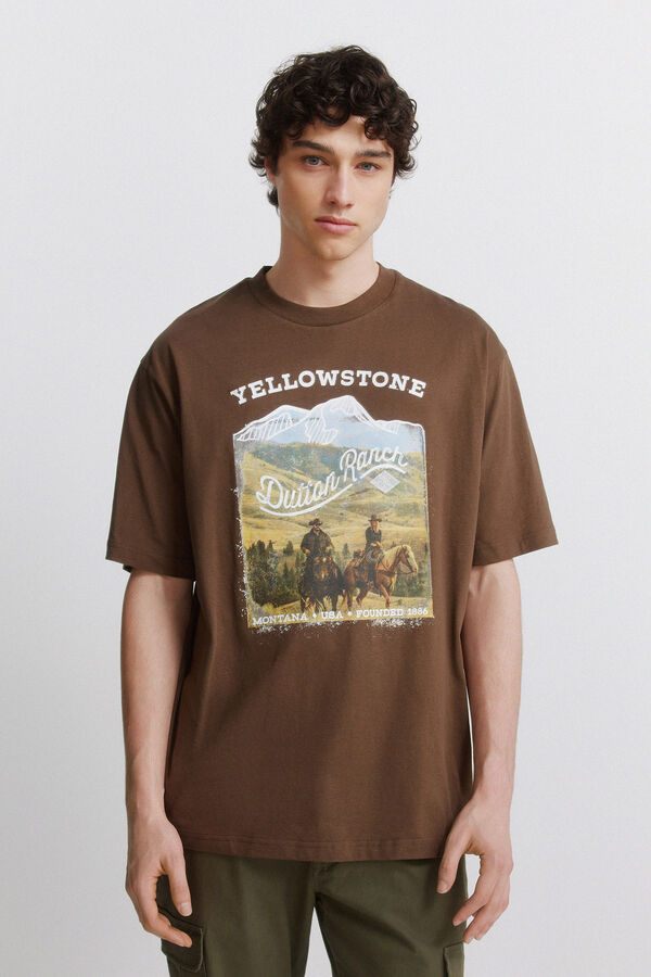Springfield Playera Yellowstone caf&eacute;