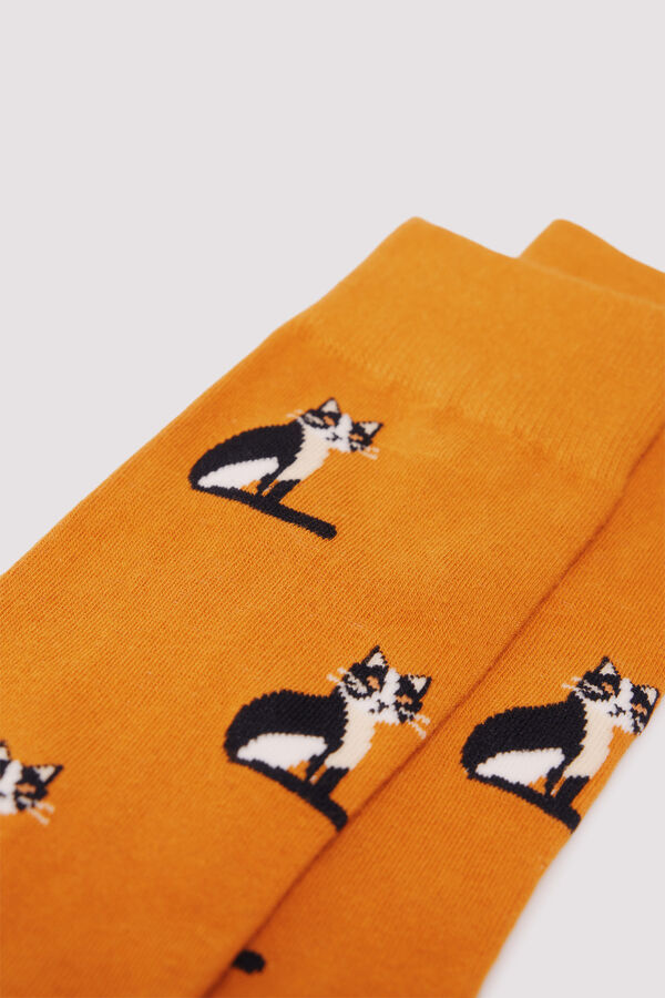 Springfield Calcetín de algodón de gato naranja