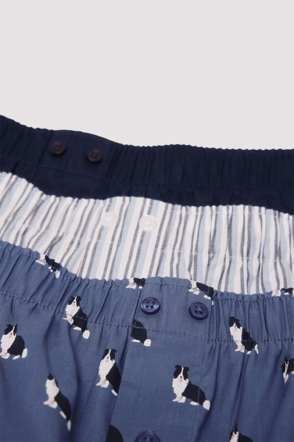 Springfield Pack de 3 calzones popel&iacute;n estampados azul