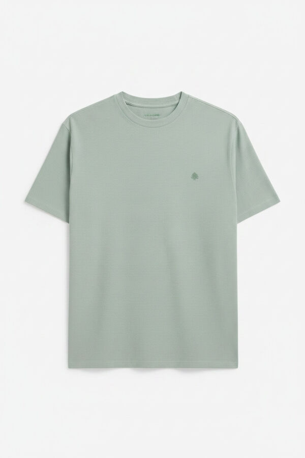 Springfield Playera de oxford verde