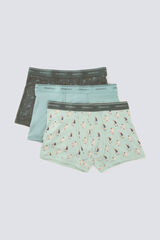Springfield Paquete de 3 boxers tenis verde