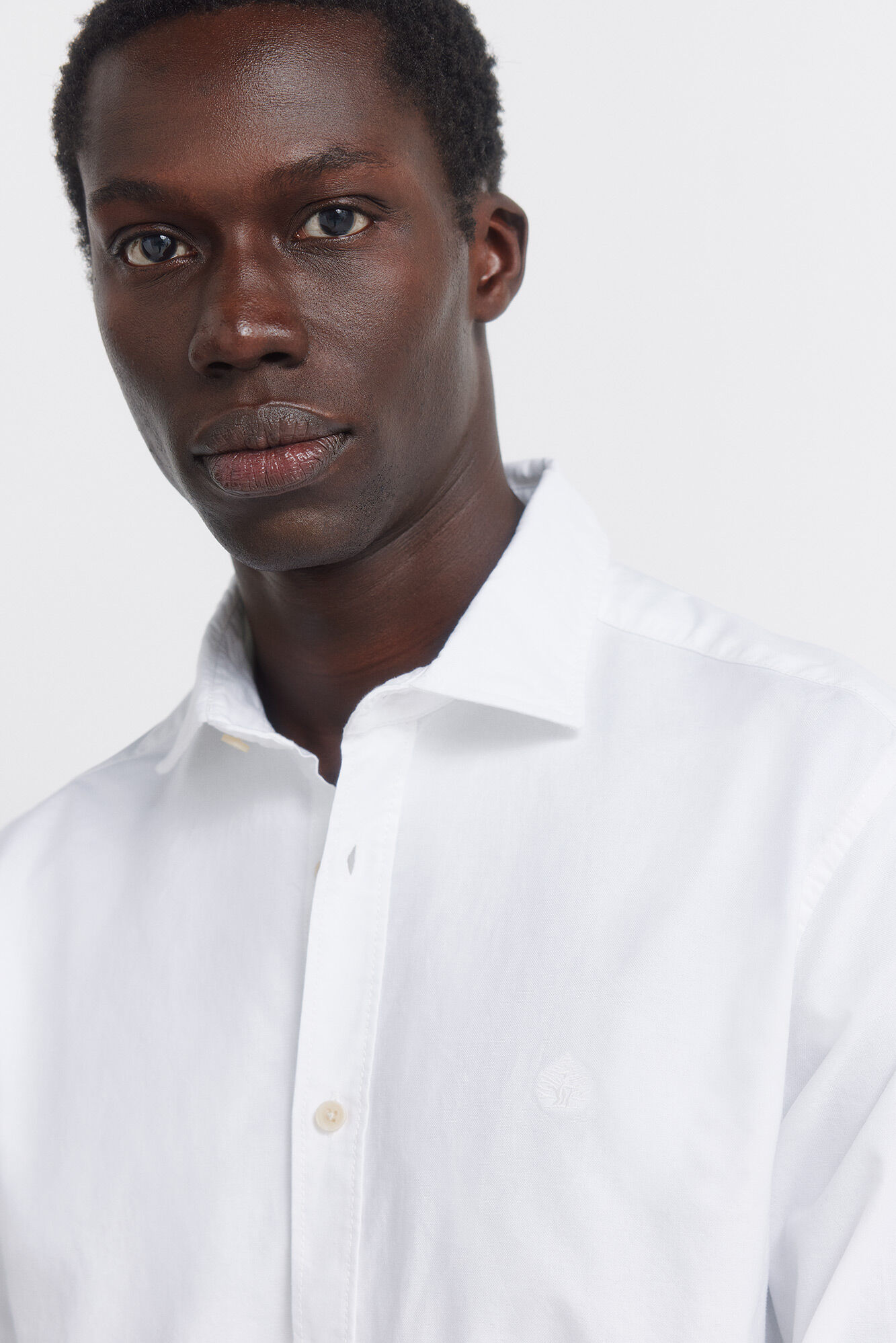 Springfield Camisa oxford ligero