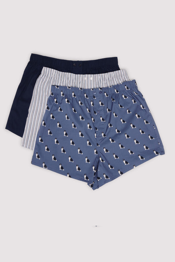 Springfield Pack de 3 calzones popelín estampados azul