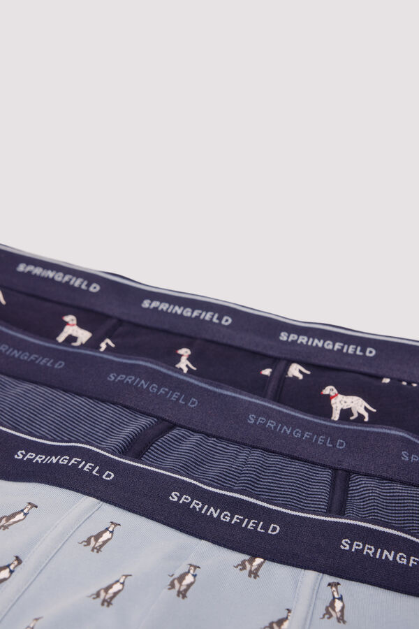 Springfield Pack 3 bóxeres perros azul