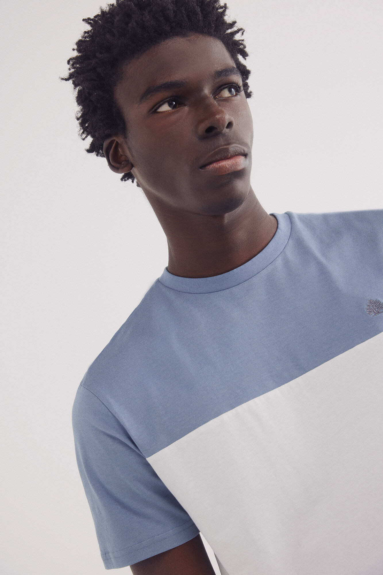 Springfield Playera color block